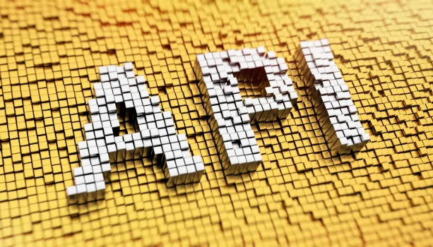 如何保護 API 漏洞？