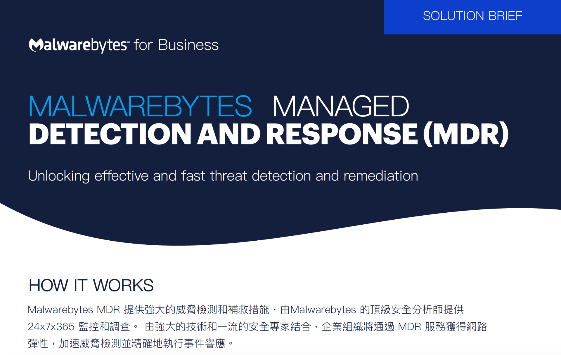 赫盟資訊有限公司 | ThreatDown (Malwarebytes) 端點保護 / EDR / MDR